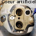 Le coeur artificiel