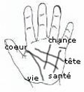 Les lignes de la main