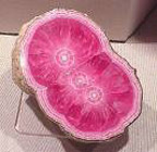 Rhodochrosite