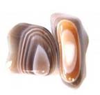 Agate orbiculaire