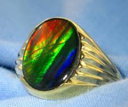 Ammolite