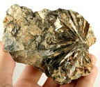 Astrophyllite