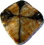 Chiastolite