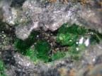 Grenat Uvarovite