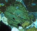 Hornblende