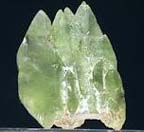 Olivine