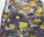 Pallasite